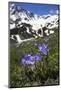 Bellflowers with Lake Donguzorun and Donguzorumn Mountains Behind, Caucasus, Russia, June-Schandy-Mounted Photographic Print