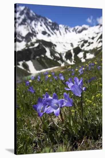 Bellflowers with Lake Donguzorun and Donguzorumn Mountains Behind, Caucasus, Russia, June-Schandy-Stretched Canvas