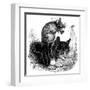 Belling the Cat-null-Framed Art Print