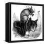 Belling the Cat-null-Framed Stretched Canvas