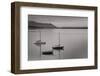 Bellingham Bay BW-Alan Majchrowicz-Framed Photographic Print