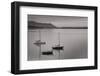 Bellingham Bay BW-Alan Majchrowicz-Framed Photographic Print