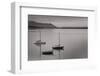 Bellingham Bay BW-Alan Majchrowicz-Framed Photographic Print