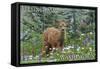 Bellingham, Washington - Deer Fawn and Wildflowers-Lantern Press-Framed Stretched Canvas