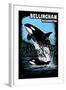 Bellingham, Washington - Orca and Calf Scratchboard-Lantern Press-Framed Art Print