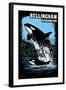 Bellingham, Washington - Orca and Calf Scratchboard-Lantern Press-Framed Art Print