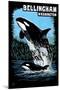 Bellingham, Washington - Orca and Calf Scratchboard-Lantern Press-Mounted Art Print