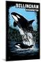 Bellingham, Washington - Orca and Calf Scratchboard-Lantern Press-Mounted Art Print