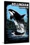 Bellingham, Washington - Orca and Calf Scratchboard-Lantern Press-Stretched Canvas