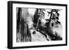 Bellingham, Washington, Overhead View of Model-Ts on Chuckanut Drive-Lantern Press-Framed Art Print