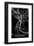 BELLINGHAM-StudioSix-Framed Photographic Print