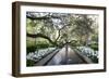 Bellingrath Gardens And Home-Carol Highsmith-Framed Art Print