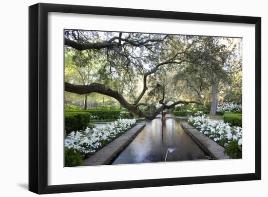 Bellingrath Gardens And Home-Carol Highsmith-Framed Art Print