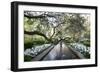 Bellingrath Gardens And Home-Carol Highsmith-Framed Art Print