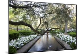 Bellingrath Gardens And Home-Carol Highsmith-Mounted Art Print