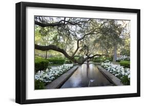 Bellingrath Gardens And Home-Carol Highsmith-Framed Premium Giclee Print