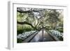 Bellingrath Gardens And Home-Carol Highsmith-Framed Premium Giclee Print