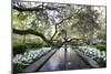 Bellingrath Gardens And Home-Carol Highsmith-Mounted Premium Giclee Print