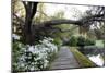 Bellingrath Gardens And Home-Carol Highsmith-Mounted Art Print