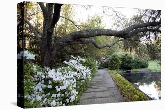 Bellingrath Gardens And Home-Carol Highsmith-Stretched Canvas