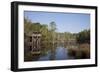 Bellingrath Gardens And Home-Carol Highsmith-Framed Premium Giclee Print