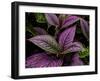 Bellingrath Gardens in Theodore, Alabama, USA-Joe Restuccia III-Framed Premium Photographic Print