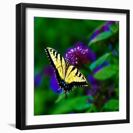 Bellingrath Gardens in Theodore, Alabama, USA-Joe Restuccia III-Framed Photographic Print