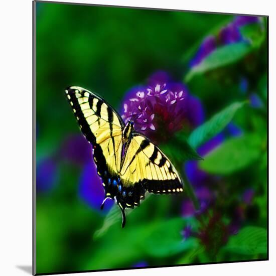 Bellingrath Gardens in Theodore, Alabama, USA-Joe Restuccia III-Mounted Photographic Print