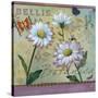 Bellis Botanica-Fiona Stokes-Gilbert-Stretched Canvas