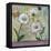 Bellis Botanica-Fiona Stokes-Gilbert-Framed Stretched Canvas