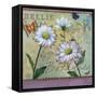Bellis Botanica-Fiona Stokes-Gilbert-Framed Stretched Canvas