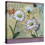 Bellis Botanica-Fiona Stokes-Gilbert-Stretched Canvas