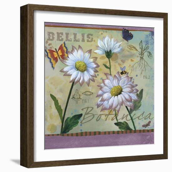 Bellis Botanica-Fiona Stokes-Gilbert-Framed Giclee Print