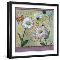 Bellis Botanica-Fiona Stokes-Gilbert-Framed Giclee Print