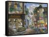 Bello Piazza-Nicky Boehme-Framed Stretched Canvas