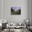 Bellport, Long Island, New York, USA-null-Photographic Print displayed on a wall