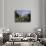 Bellport, Long Island, New York, USA-null-Photographic Print displayed on a wall