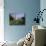 Bellport, Long Island, New York, USA-null-Mounted Photographic Print displayed on a wall