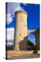 Bellver Castle, Palma de Mallorca, Majorca, Balearic Islands, Spain.-Nico Tondini-Stretched Canvas