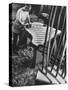 Bellyman Planing Wood Smooth on Soundboard for a New Grand Piano at the Steinway Piano Factory-Margaret Bourke-White-Stretched Canvas