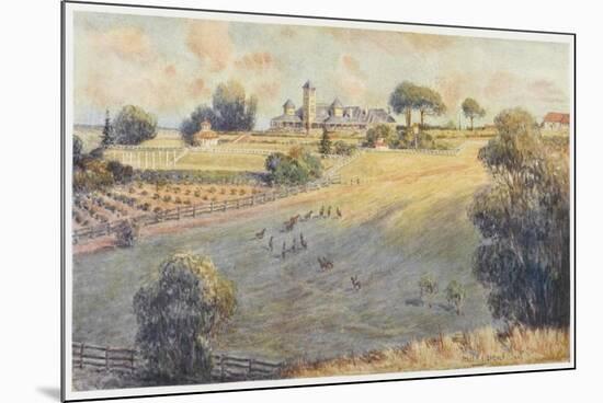 Belmont Park an Australian Station Homestead-Percy F.s. Spence-Mounted Premium Giclee Print