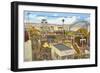 Belmont Park, San Diego, California-null-Framed Art Print