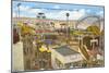 Belmont Park, San Diego, California-null-Mounted Art Print