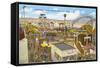 Belmont Park, San Diego, California-null-Framed Stretched Canvas