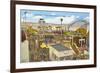 Belmont Park, San Diego, California-null-Framed Art Print