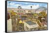 Belmont Park, San Diego, California-null-Framed Stretched Canvas