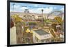 Belmont Park, San Diego, California-null-Framed Art Print