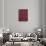 Belo Horizonte, Brazil Red Map-null-Stretched Canvas displayed on a wall