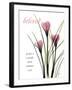 Beloved Crocus-Albert Koetsier-Framed Art Print