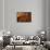 Belshazzar's Feast-John Martin-Framed Stretched Canvas displayed on a wall